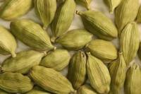 Cardamom (Elettaria cardamomum) Cardamom (Elettaria cardamomum)